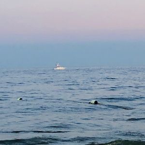 Meet your Posher, Manish